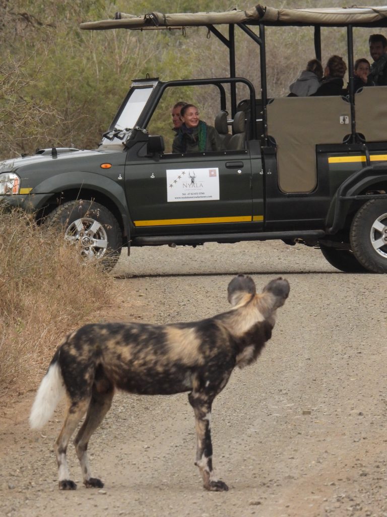 nyalaluxurysafaritents safari kruger safari adventure
